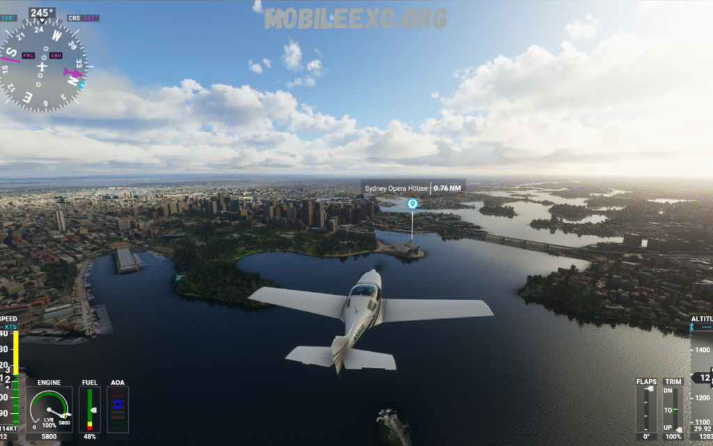 Flight Simulator Games